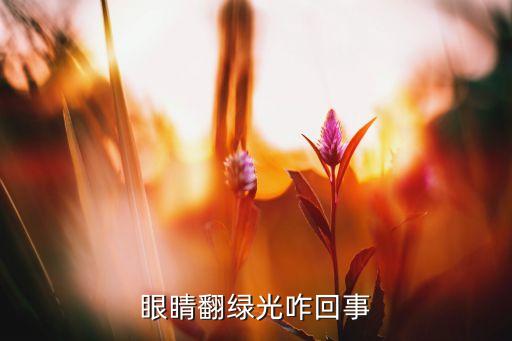 狗狗為什么會得青光眼,狗狗得青光眼的原因是什么...